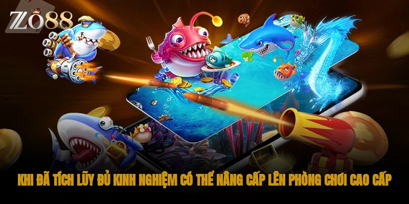 Khi đã tích lũy đủ kinh nghiệm có thể nâng cấp lên phòng chơi cao cấp