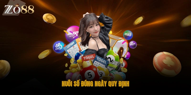 Nuôi số đúng ngày quy định